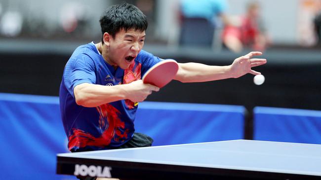 生日续约的 生日续约的